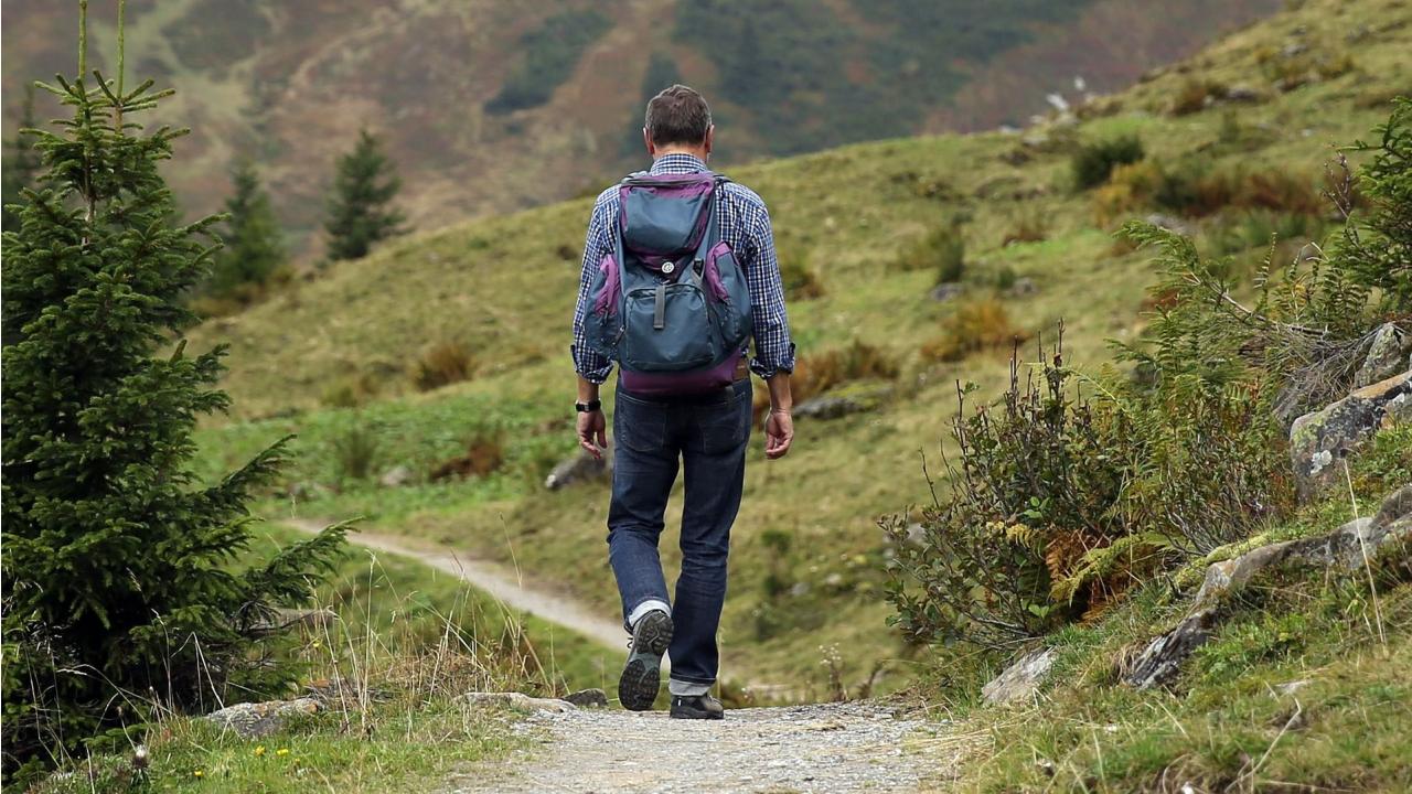 Man wandering down a path