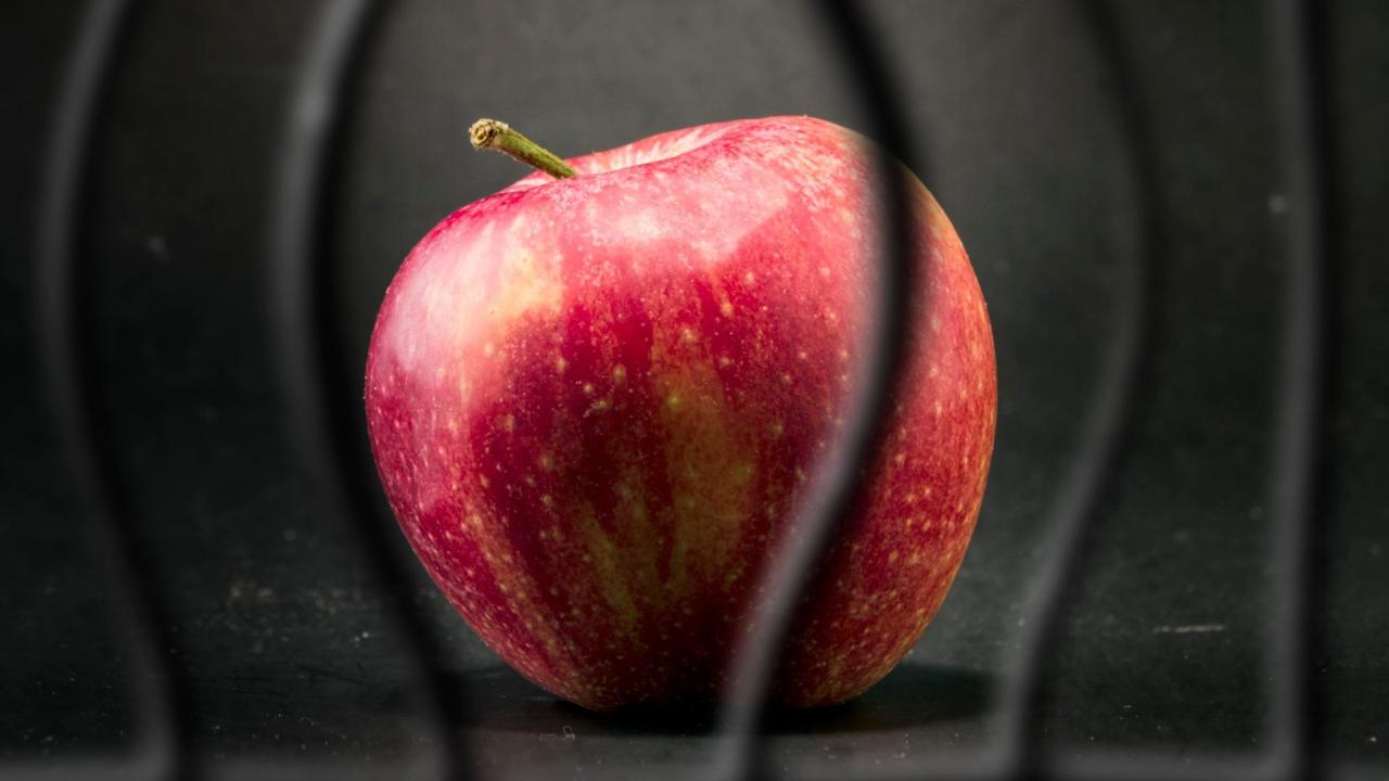 An apple behind prison bars