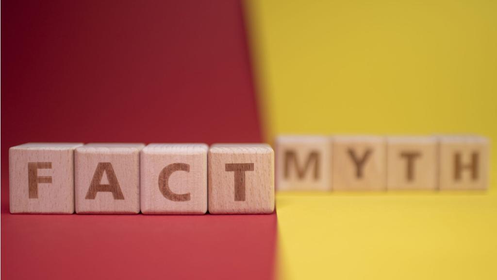 Fact and Myth words made with wooden blocks