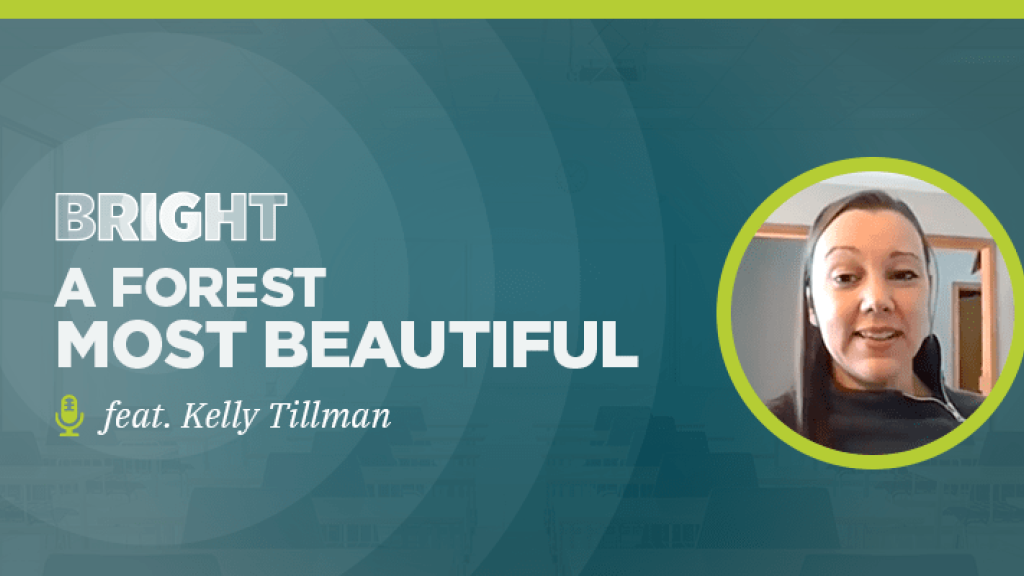 BRIGHT-A-Forest-Most-Beautiful