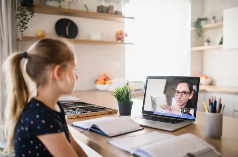 Online National Standards 2: Course Content & Design