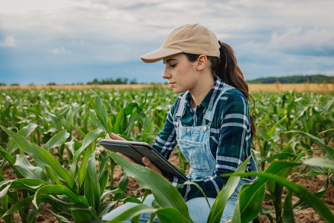 Agriculture Associate AEST Certification Exam