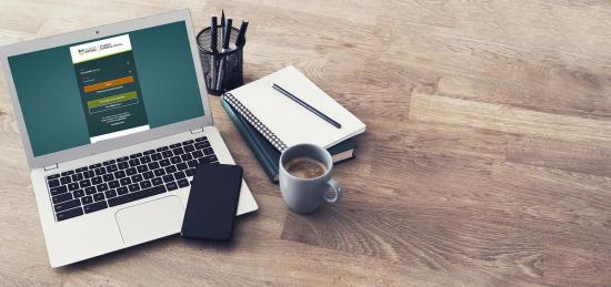 Virtual school course design