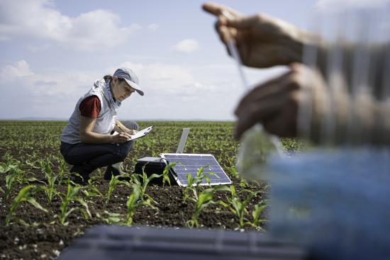 Soil Ecology & Regenerative Agriculture. Research on Soil Restoration.