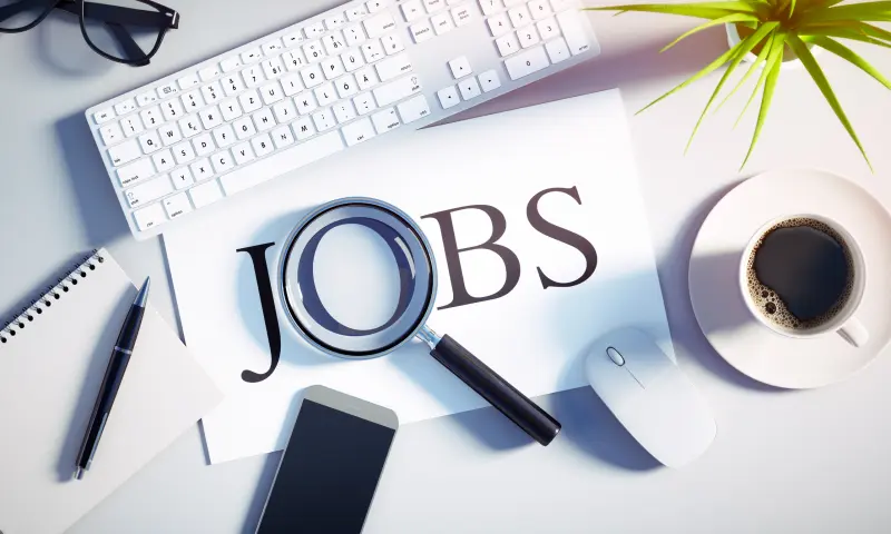 Twelve Steps to a Successful Job Search